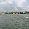 Triathlon » Kitzingen 2016